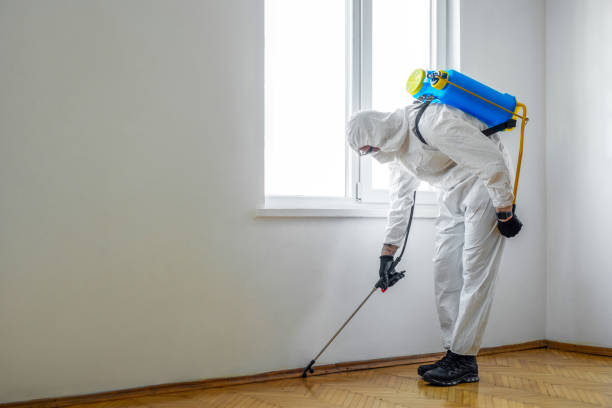 Best Pest Control for Restaurants  in Monona, IA