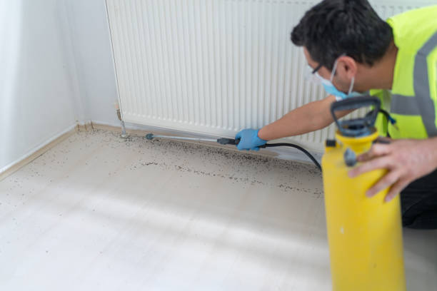 Best Affordable Exterminators  in Monona, IA